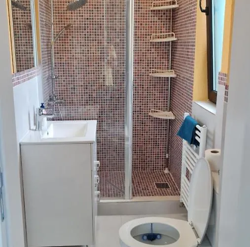 Pomiculturii 9 Timişoara